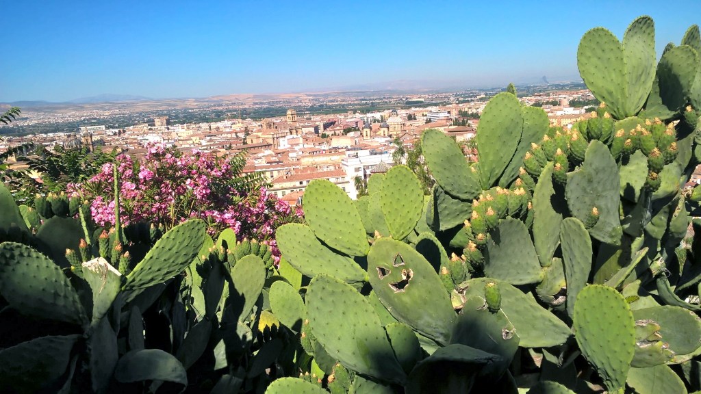 City of Dreams… 11. Insider Secrets to Discover the Magic of&nbsp;Granada