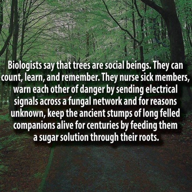 fb_20160728_16_03_37_saved_picture