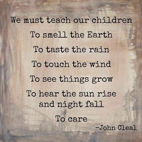 fb_20161004_11_17_54_saved_picture