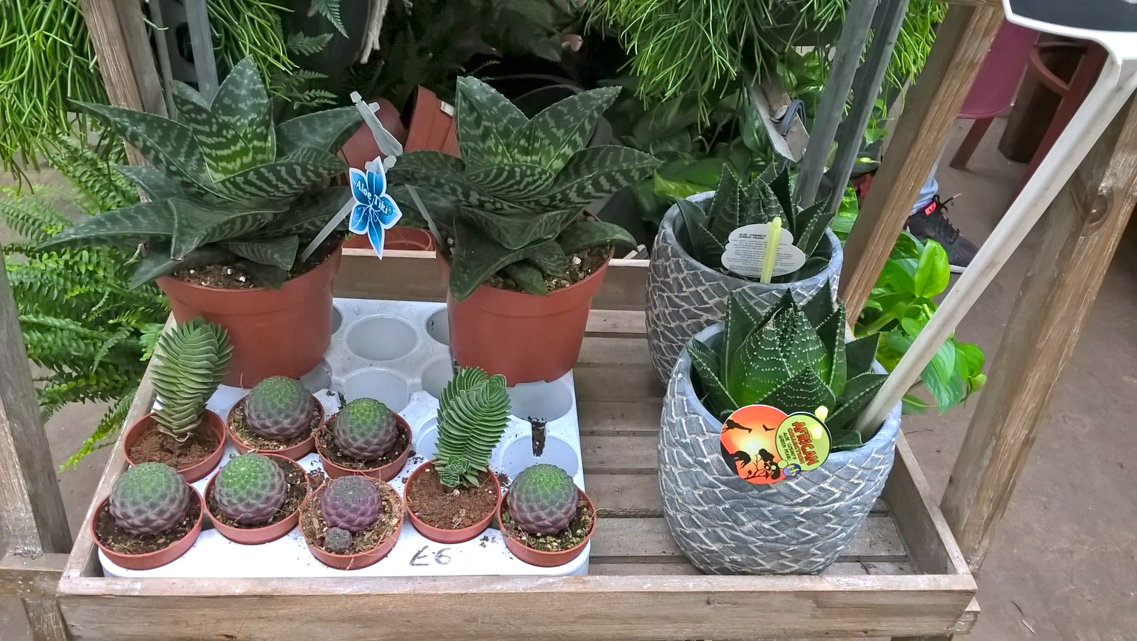 wp_20161017_13_42_18_pro