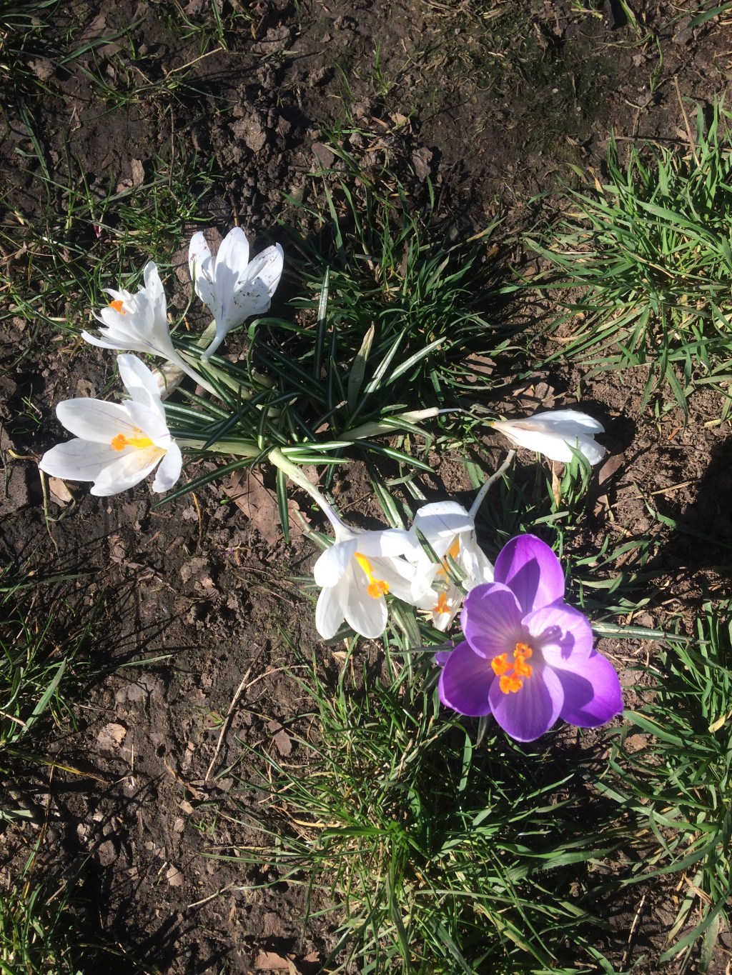 Why Do We Create? Thoughts on Pushing Through The&nbsp;Darkness