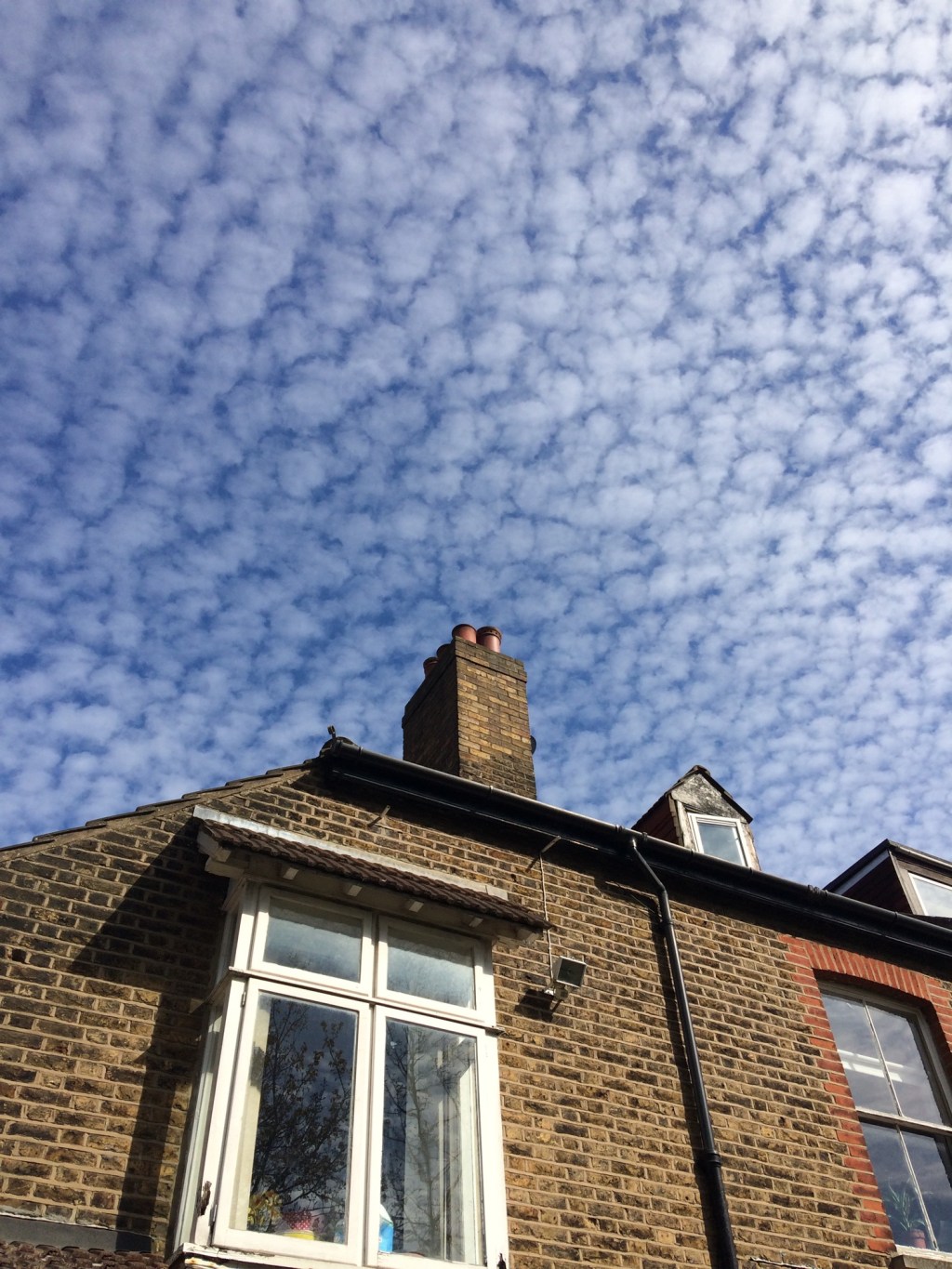 Almost Buried Beauty: The Only Pictures I Took During Lockdown in London, 5 Years&nbsp;On