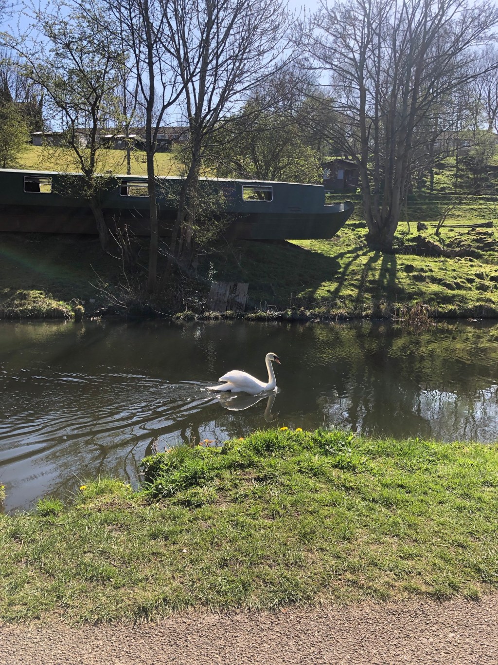 Reasons I Came Back To Life in&nbsp;2025